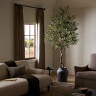 Faux Olive Tree in a living room at Addison West