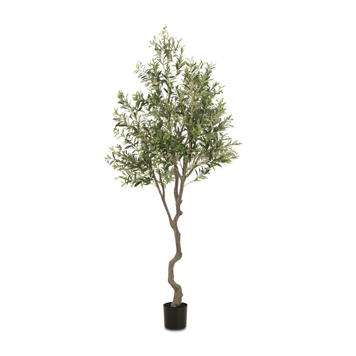 Faux Olive Tree on a white background at Addison West