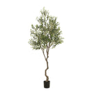 Faux Olive Tree on a white background at Addison West