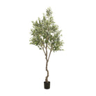 Faux Olive Tree on a white background at Addison West