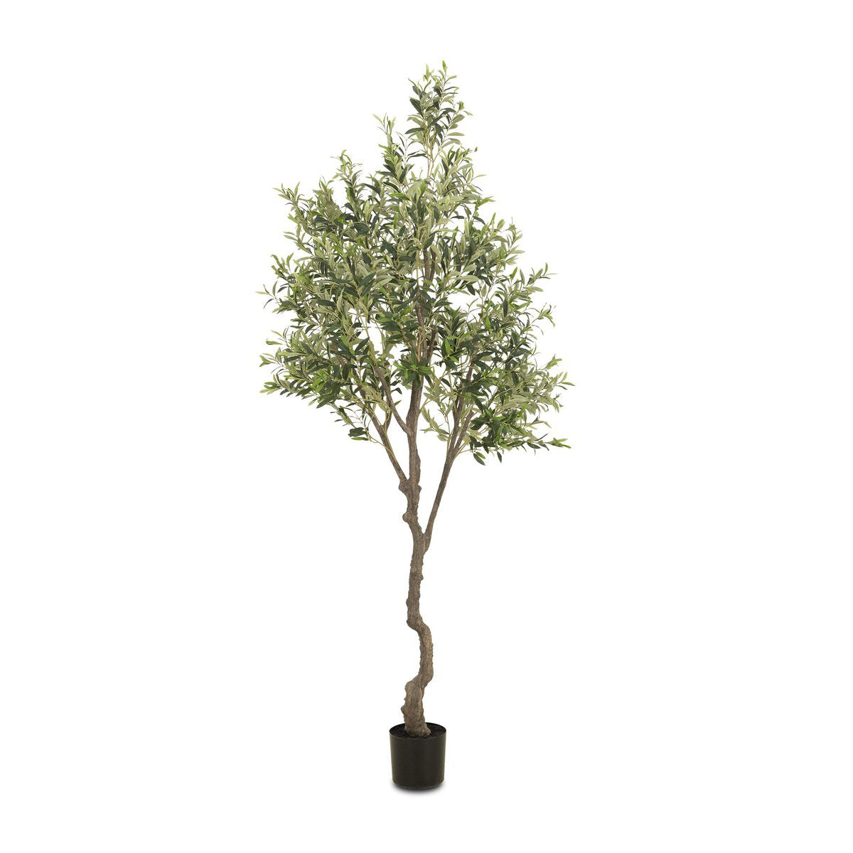 Faux Olive Tree on a white background at Addison West