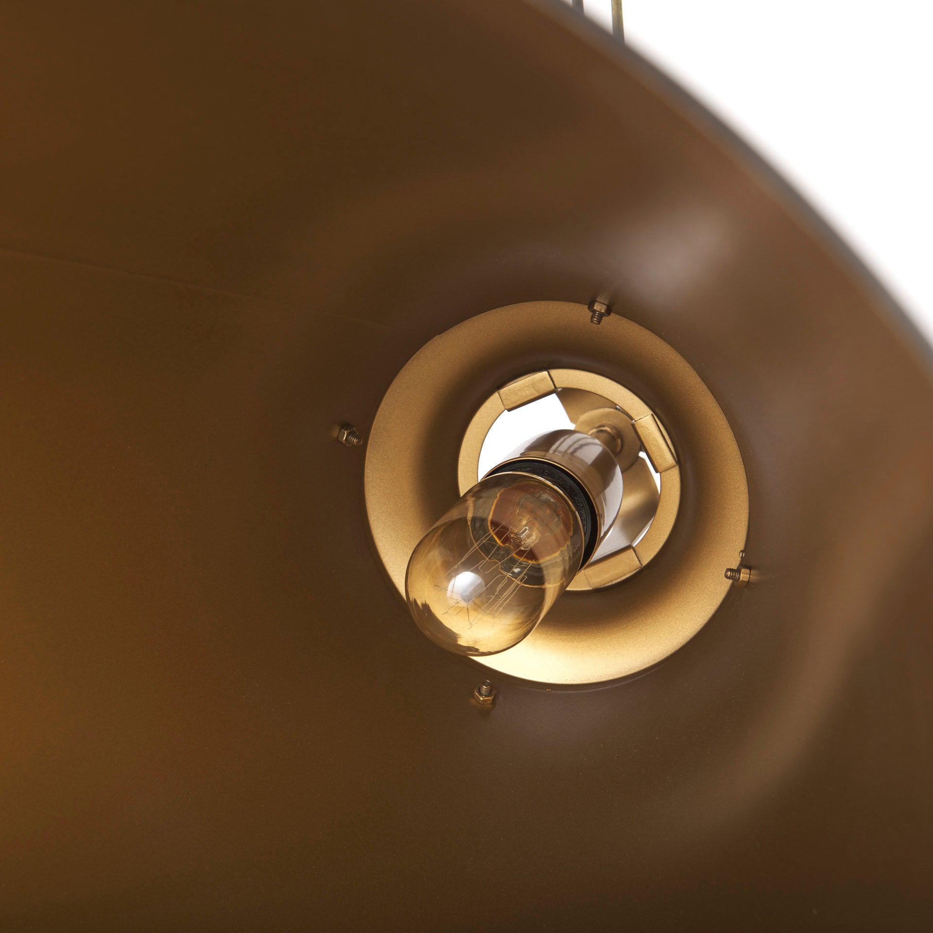 Close up of Fenton 18.0L x 18.0W x 23.0H Black W/Antiqued Gold Accents Pendant Light on a white background