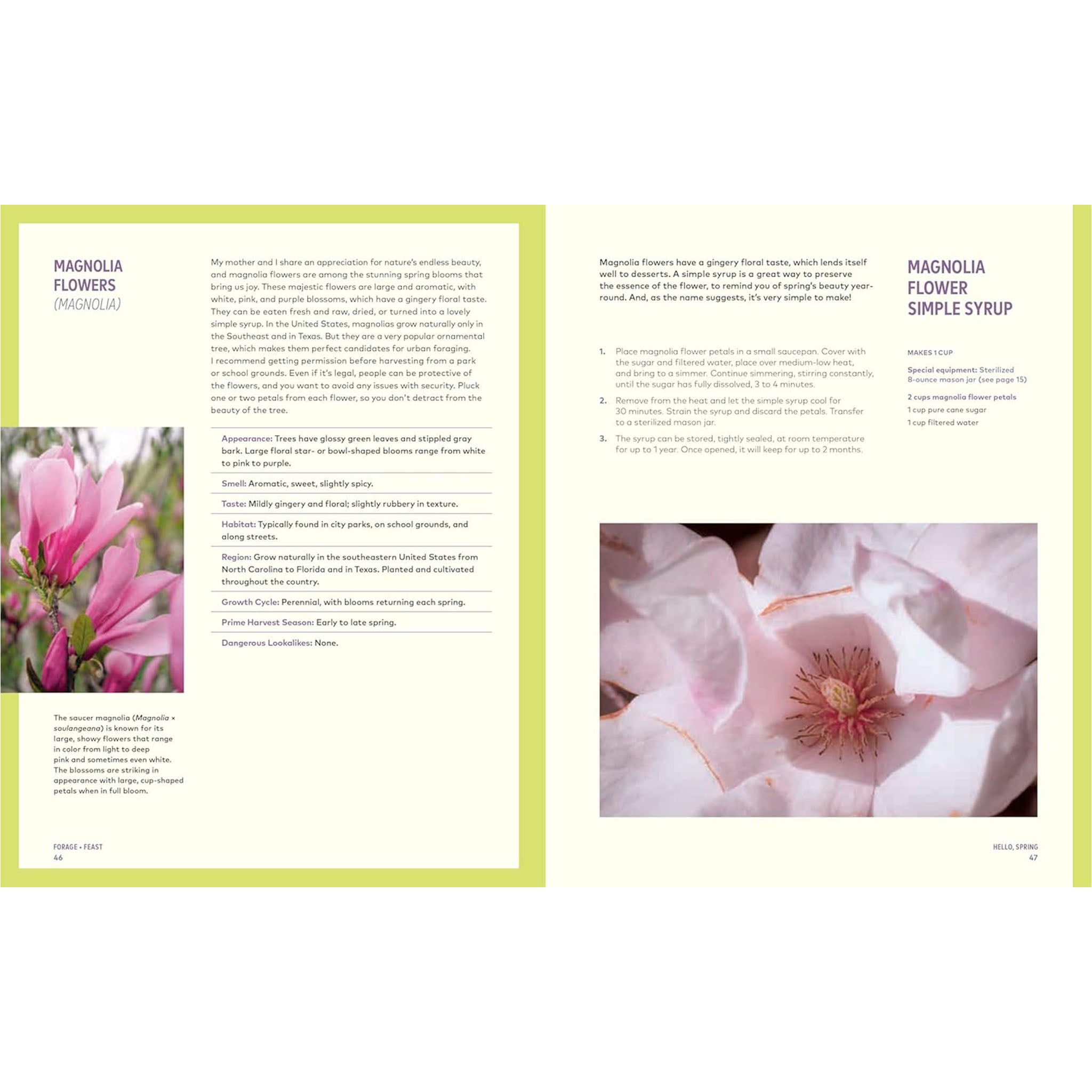 Forage & Feast: Recipes for Bringing Mushrooms & Wild Plants to Your Table - Addison West