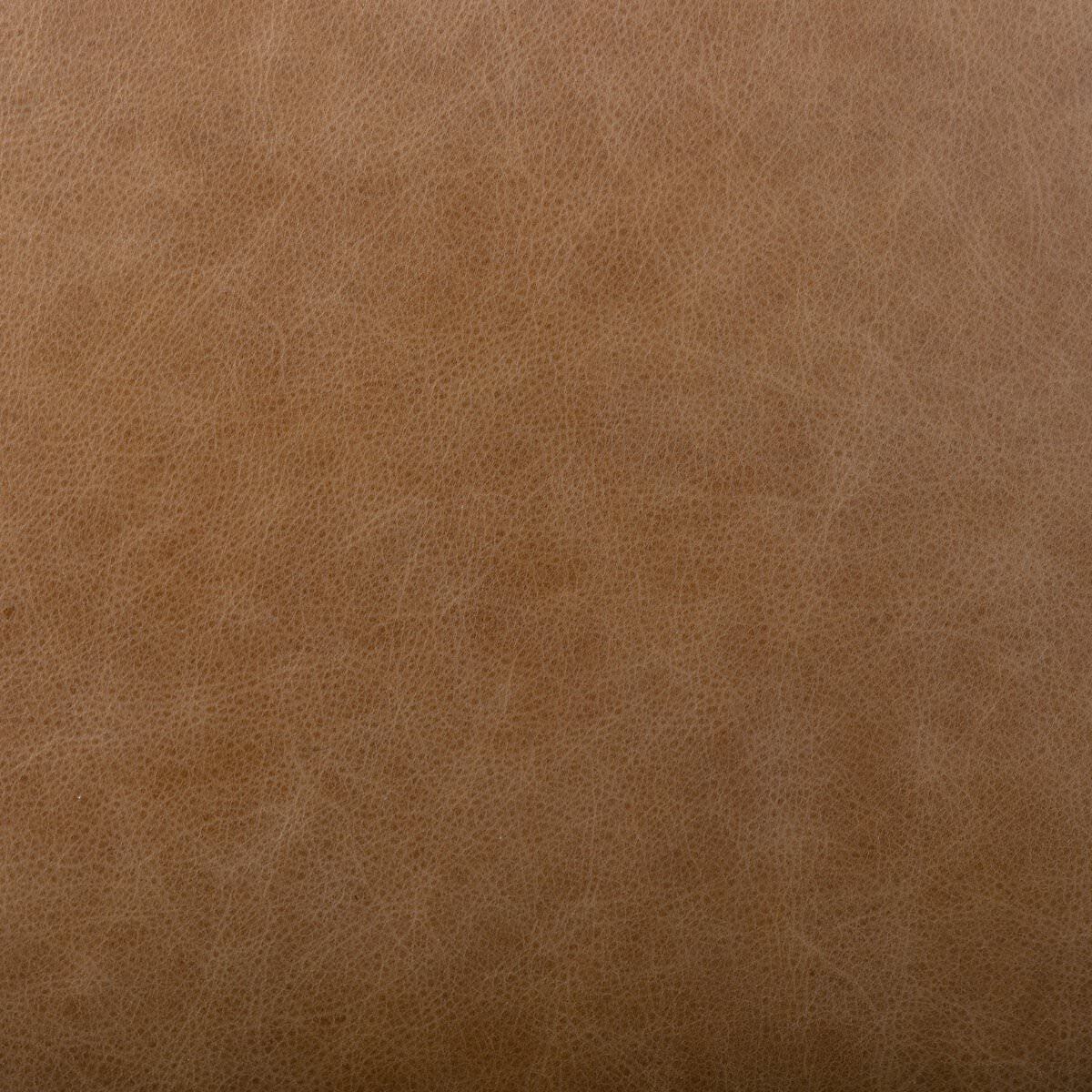 Close up of Four Hands Abilene Dining Chair in Chaps Saddle at Addison West