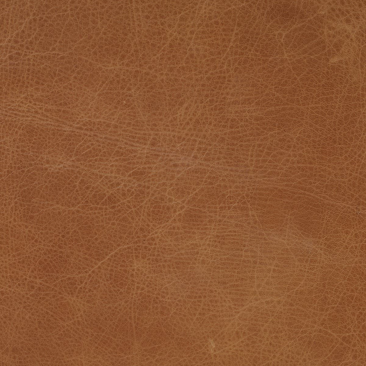 Close up of Four Hands Claude Desk in Tan Oak Veneer  at Addison West