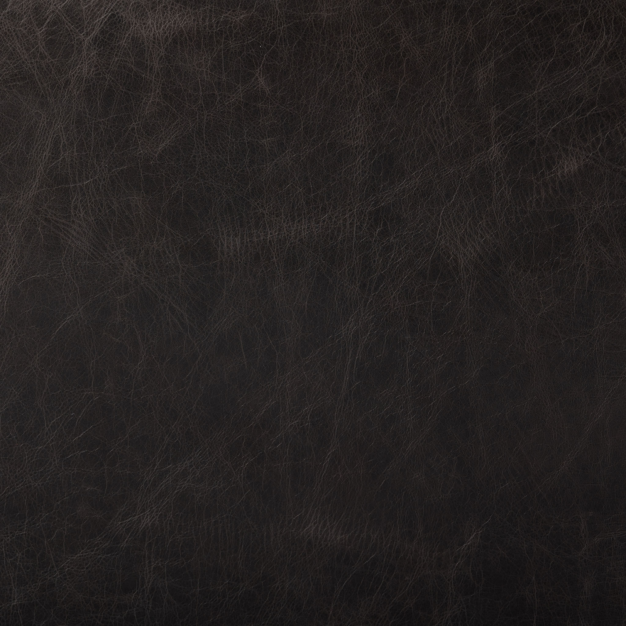 Four Hands Kena Counter Stool In Sonoma Black - Addison West