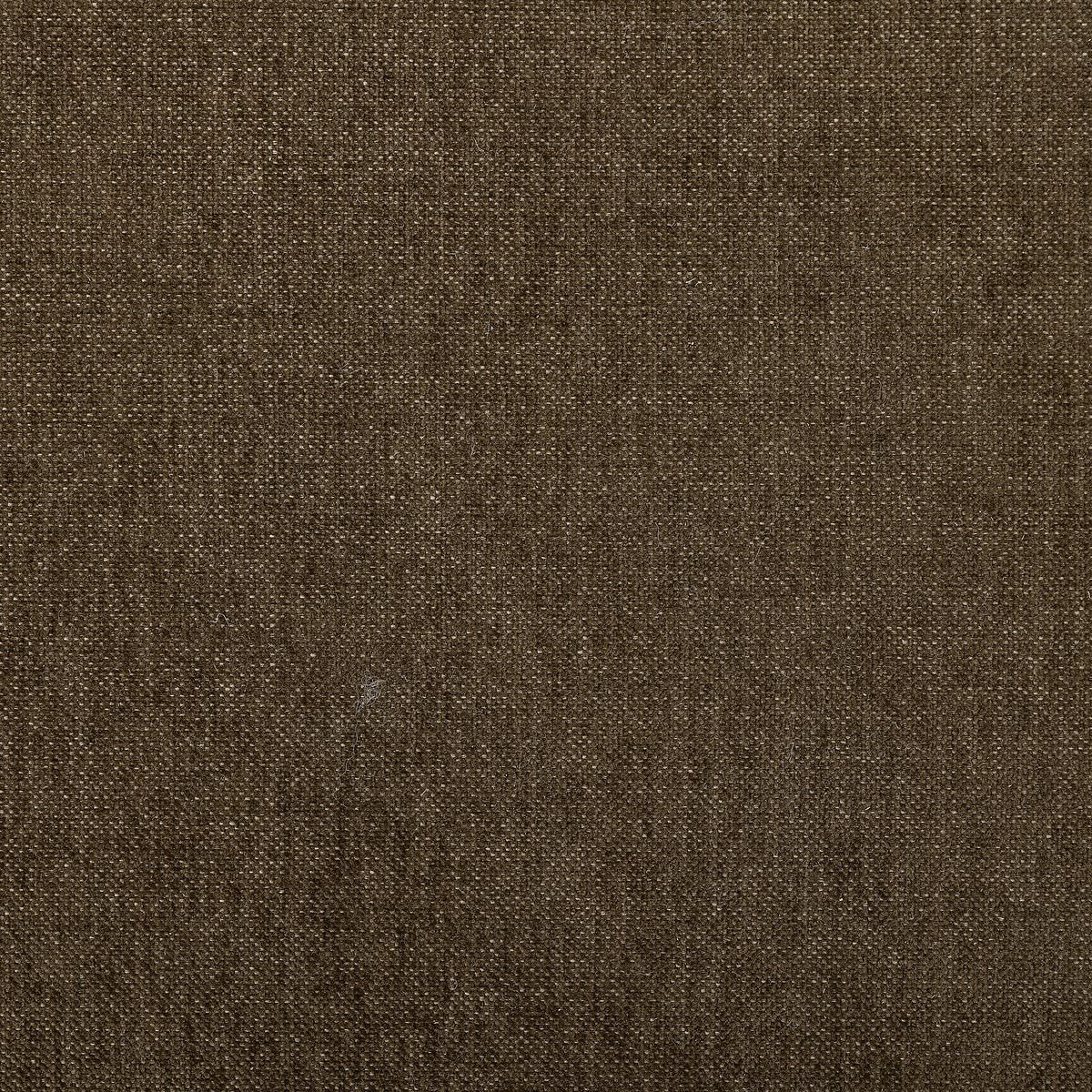 Close up of Four Hands Kirby Accent Bench in Sutton Olive  at Addison West