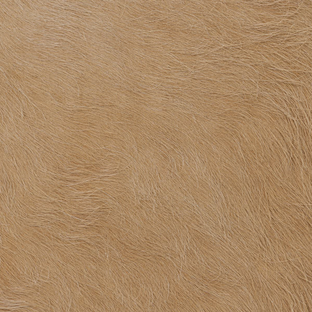 Close up of Four Hands Knox Accent Bench in Light Hair on Hide at Addison West