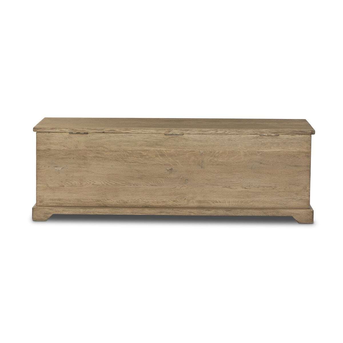 Back of Four Hands Quintin Trunk in Worn Oak on a white background at Addison West