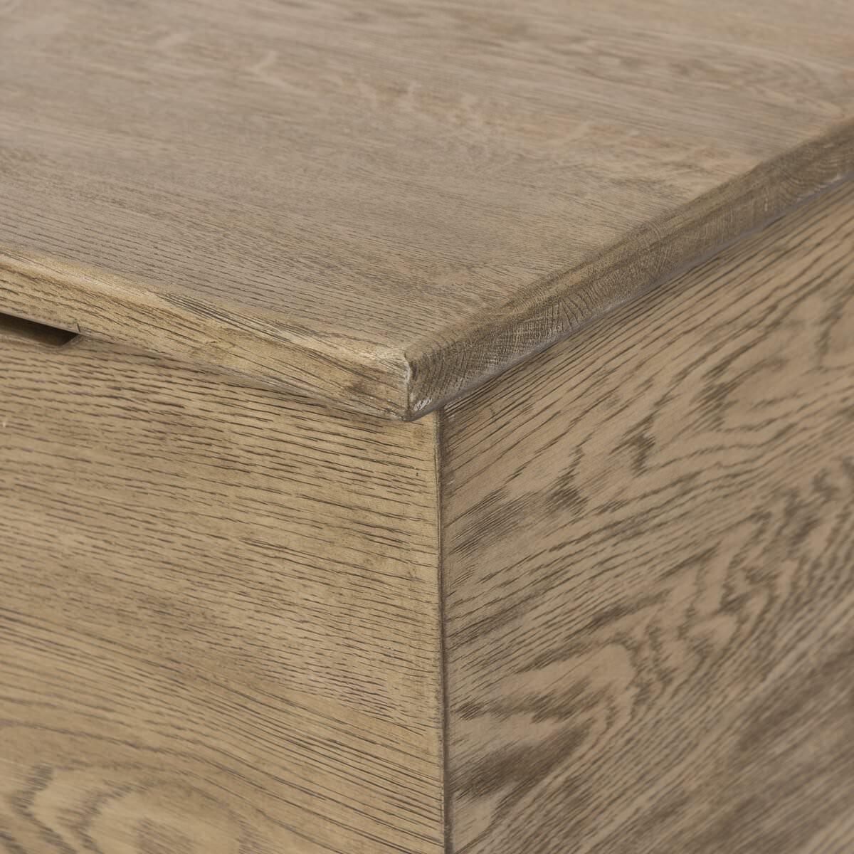 Close up of Four Hands Quintin Trunk in Worn Oak on a white background at Addison West