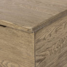 Close up of Four Hands Quintin Trunk in Worn Oak on a white background at Addison West