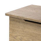 Close up of Four Hands Quintin Trunk in Worn Oak on a white background at Addison West