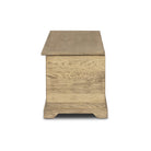 Side of Four Hands Quintin Trunk in Worn Oak on a white background at Addison West