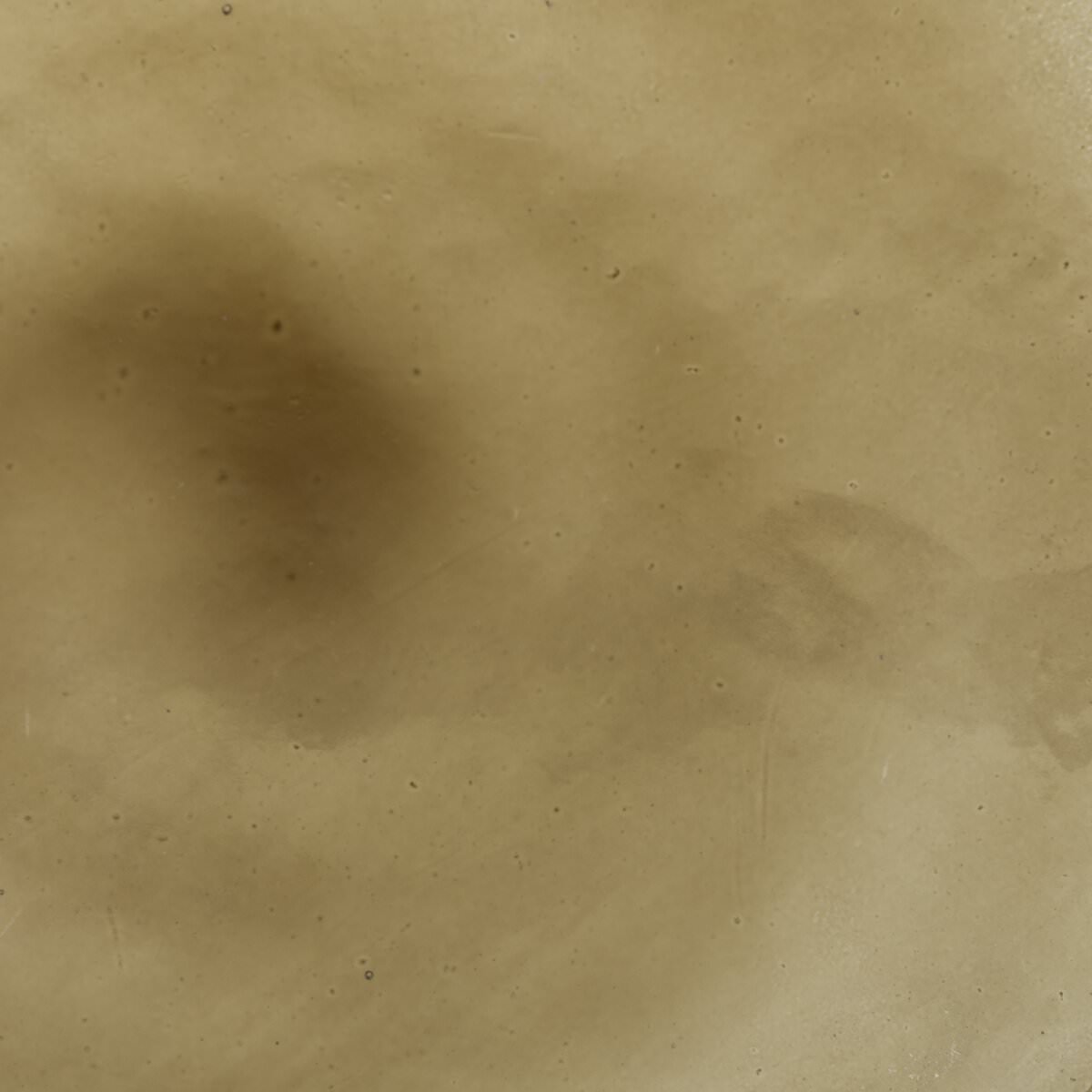 Close up of Four Hands Relo End Table in Olive Cast Glass on a white background at Addison West
