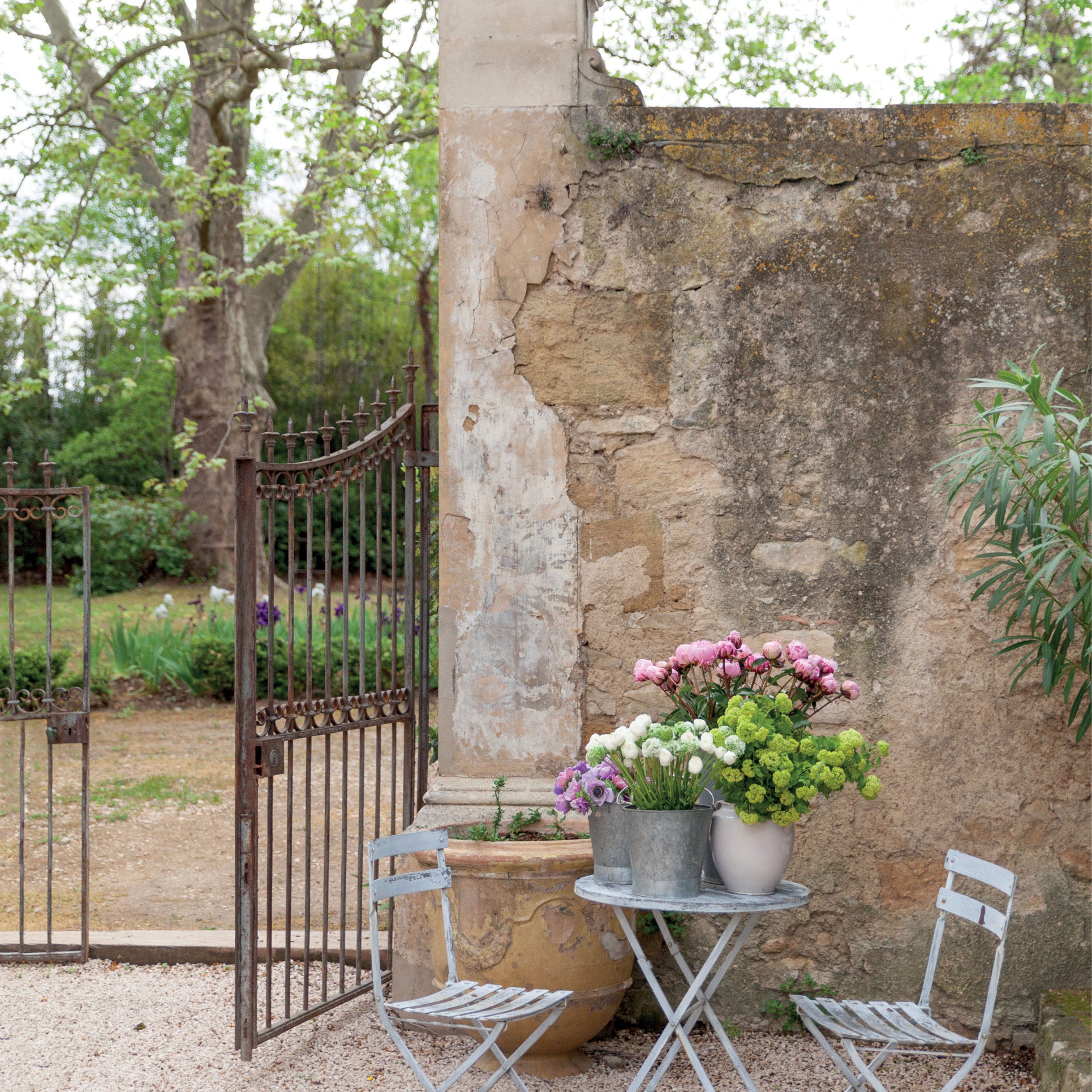 Inside pages of french blooms book