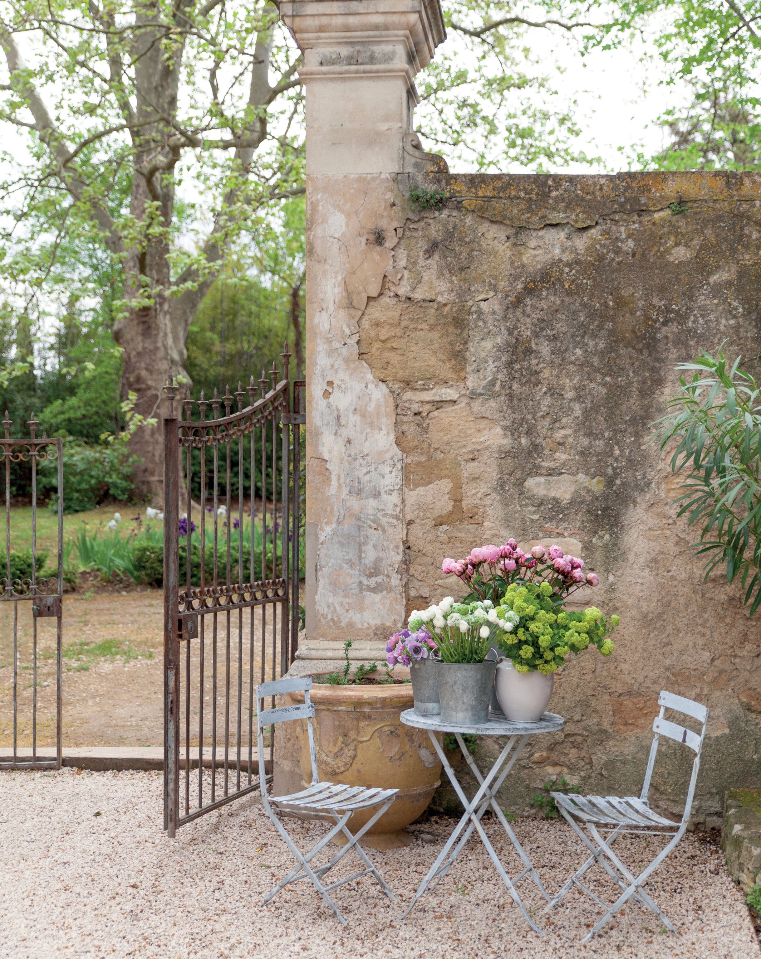 Inside pages of french blooms book