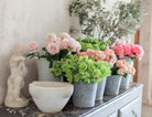 Inside pages of french blooms book