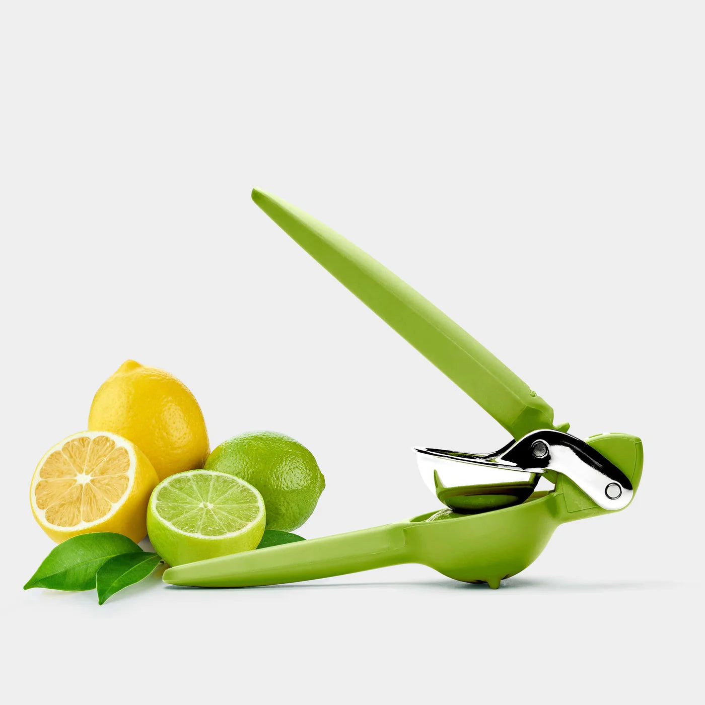 FreshForce Citrus Juicer in Green on plain background at Addison West.