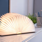 Ginkgo Smart Book Light in Walnut on a desk at Addison West