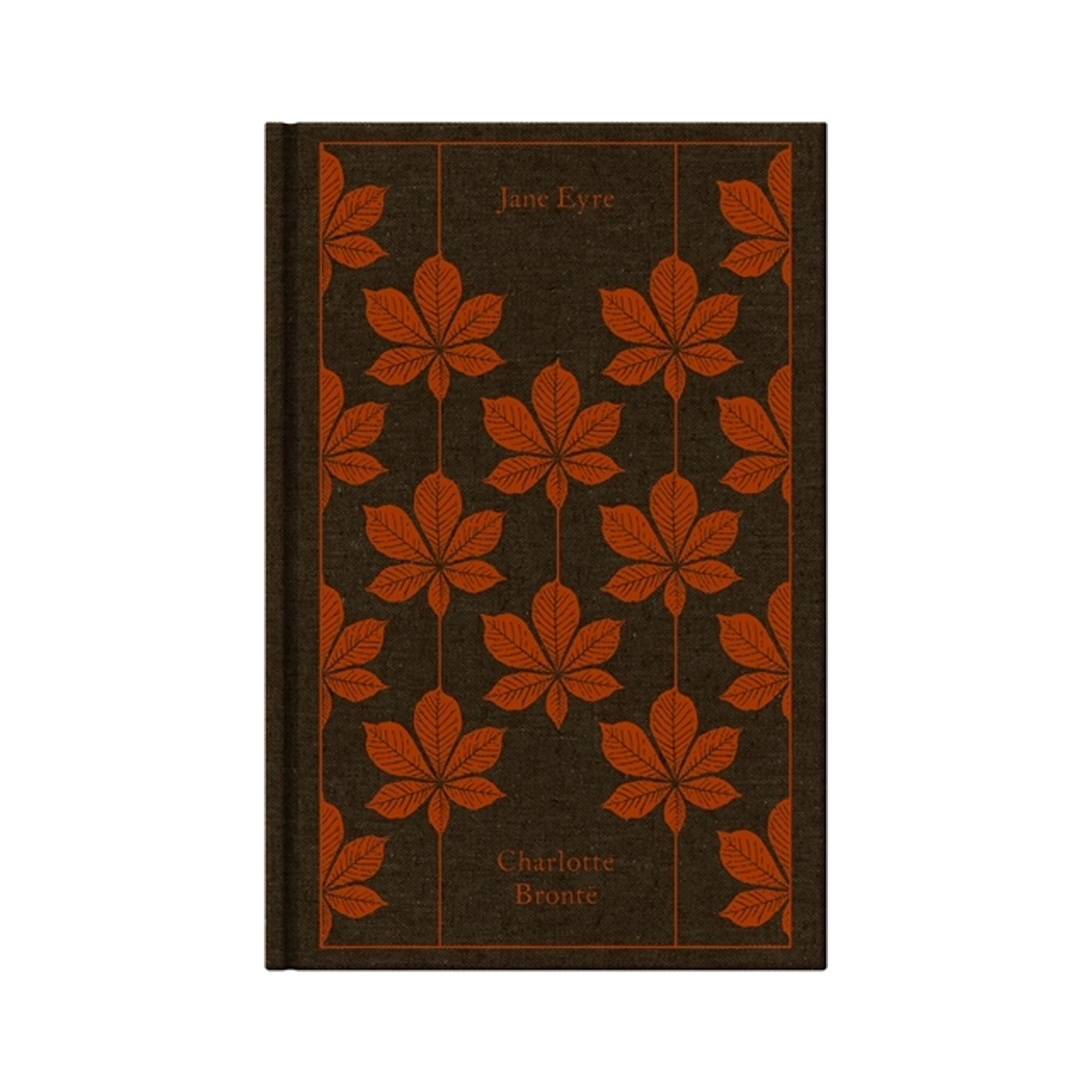 Jane Eyre by Charlotte Bronte on a white background at Addison West