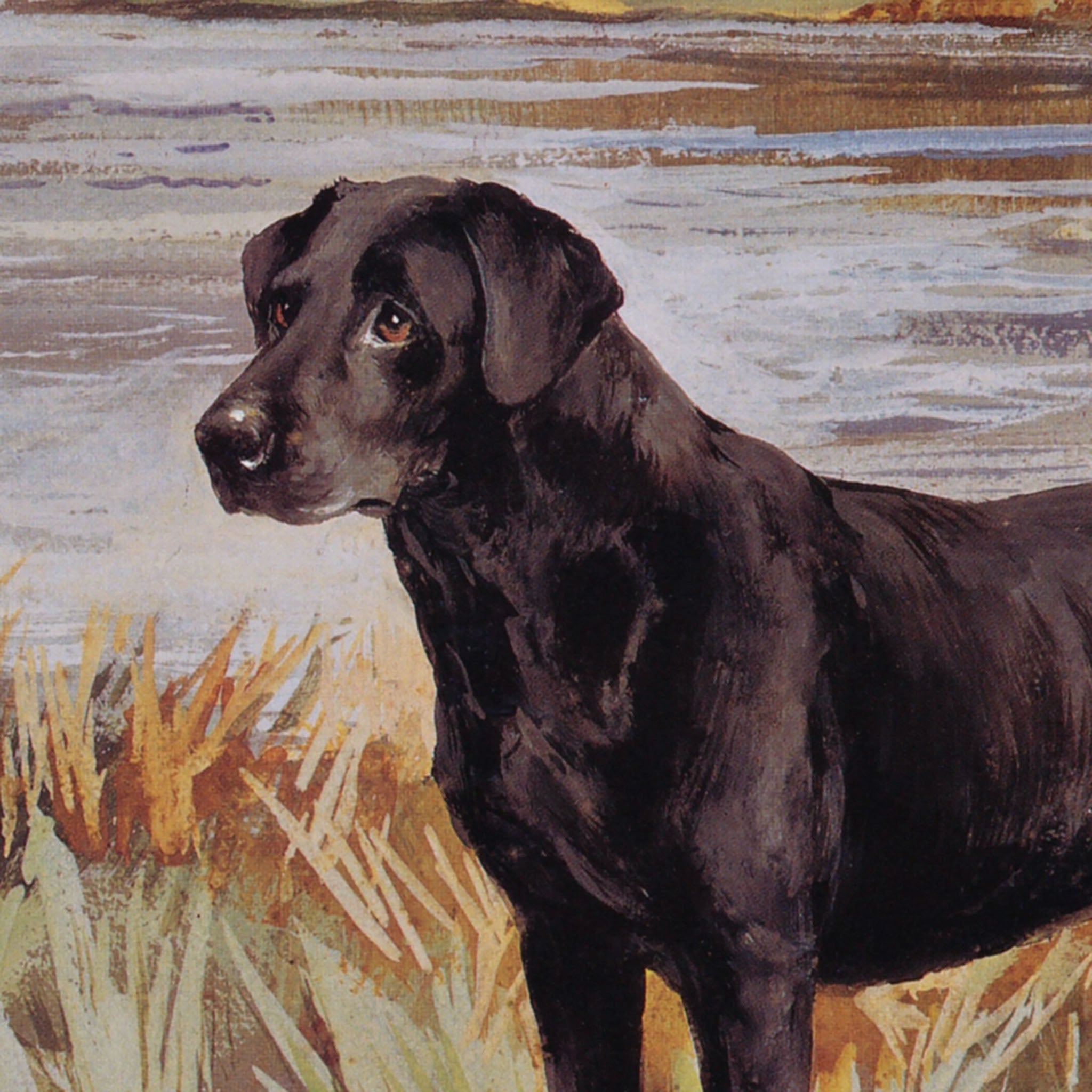 Labrador Retriever with Duck Oil Painting - Addison West