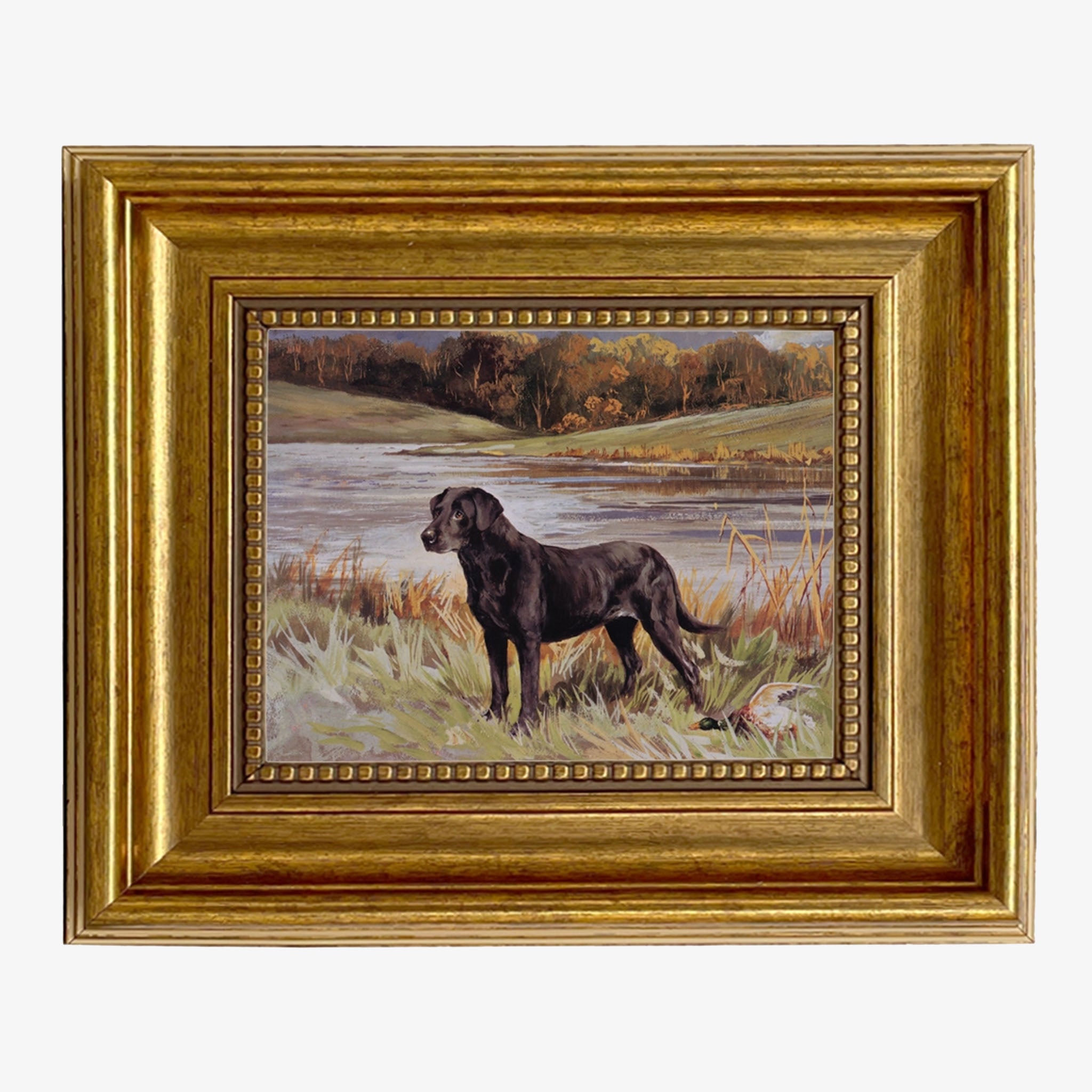 Labrador Retriever with Duck Oil Painting in gold frame on a white background