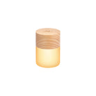 Lemelia Light in White Ash on a white background at Addison West