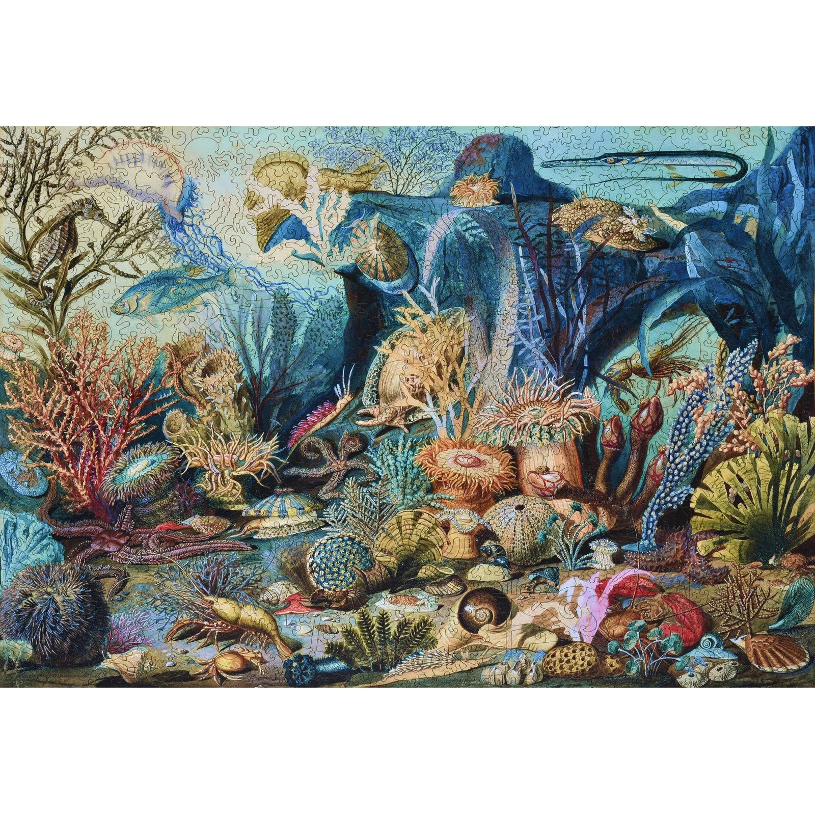 Liberty Puzzles Ocean Life at Addison West