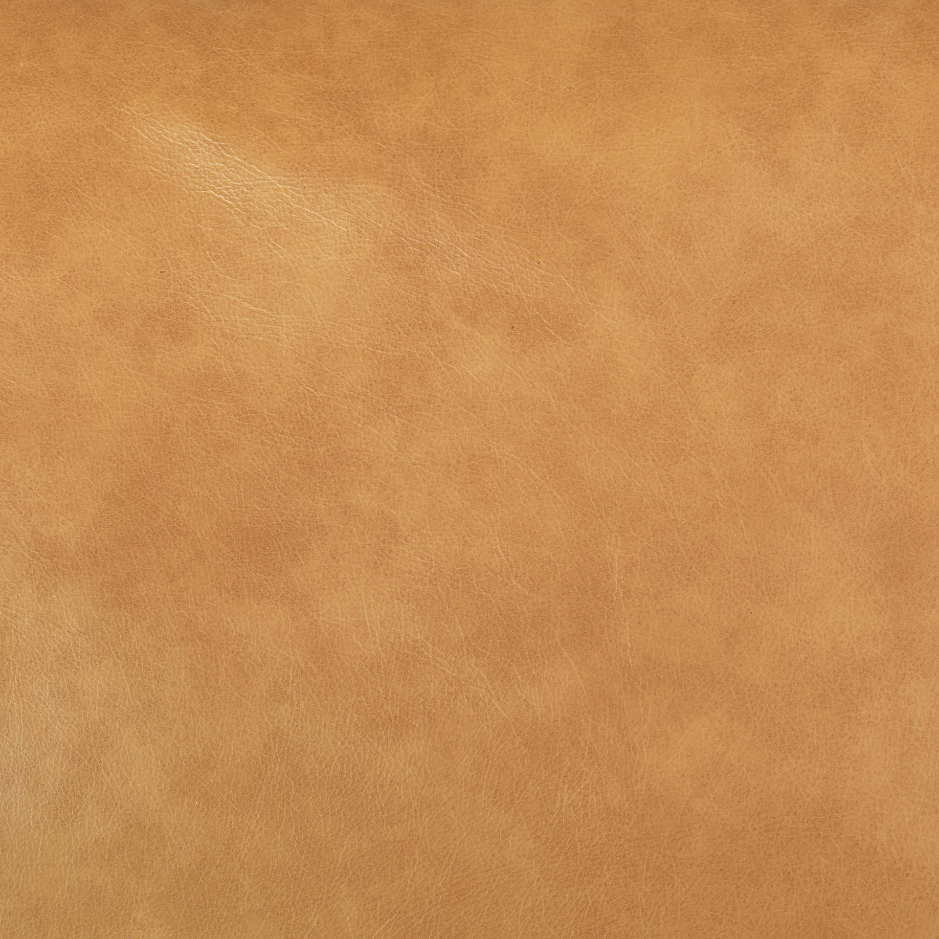 Close up of Olaf Tan Leather Sofa