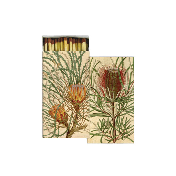 Cream colored box of matches with protea illustration on a white background