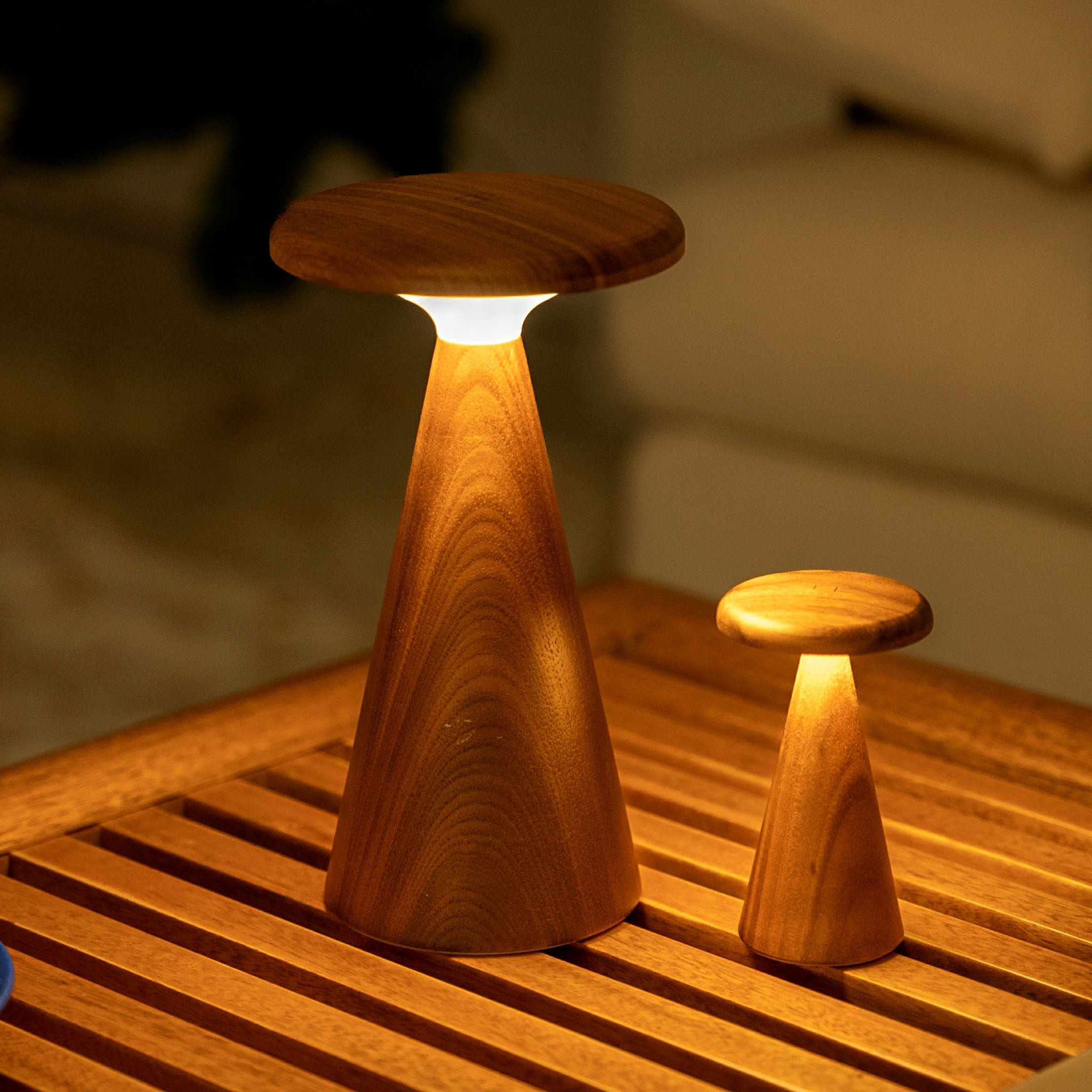 Mini Sylva Table Lamp in White Ash on a table at Addison West