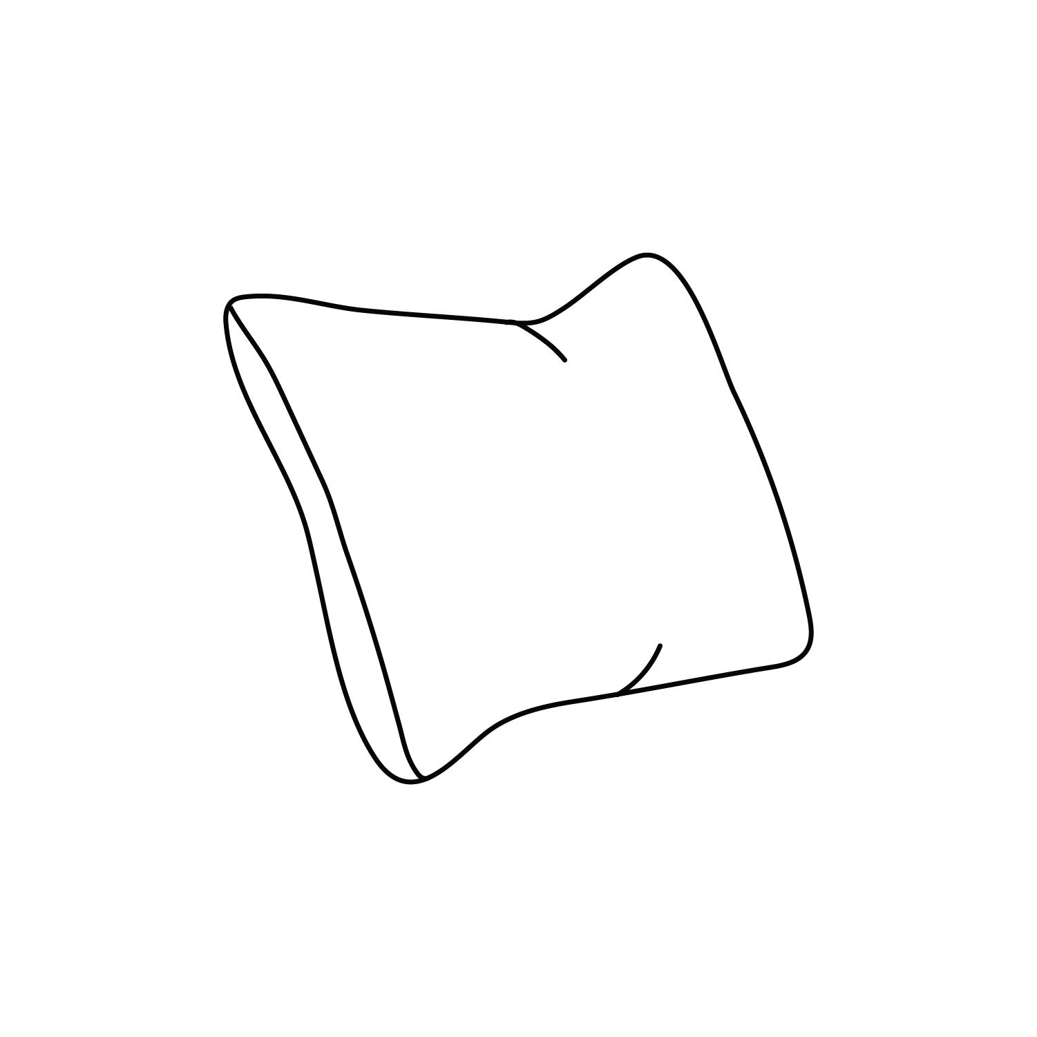 CR Laine custom 22x22 throw pillow illustration on a white background at Addison West