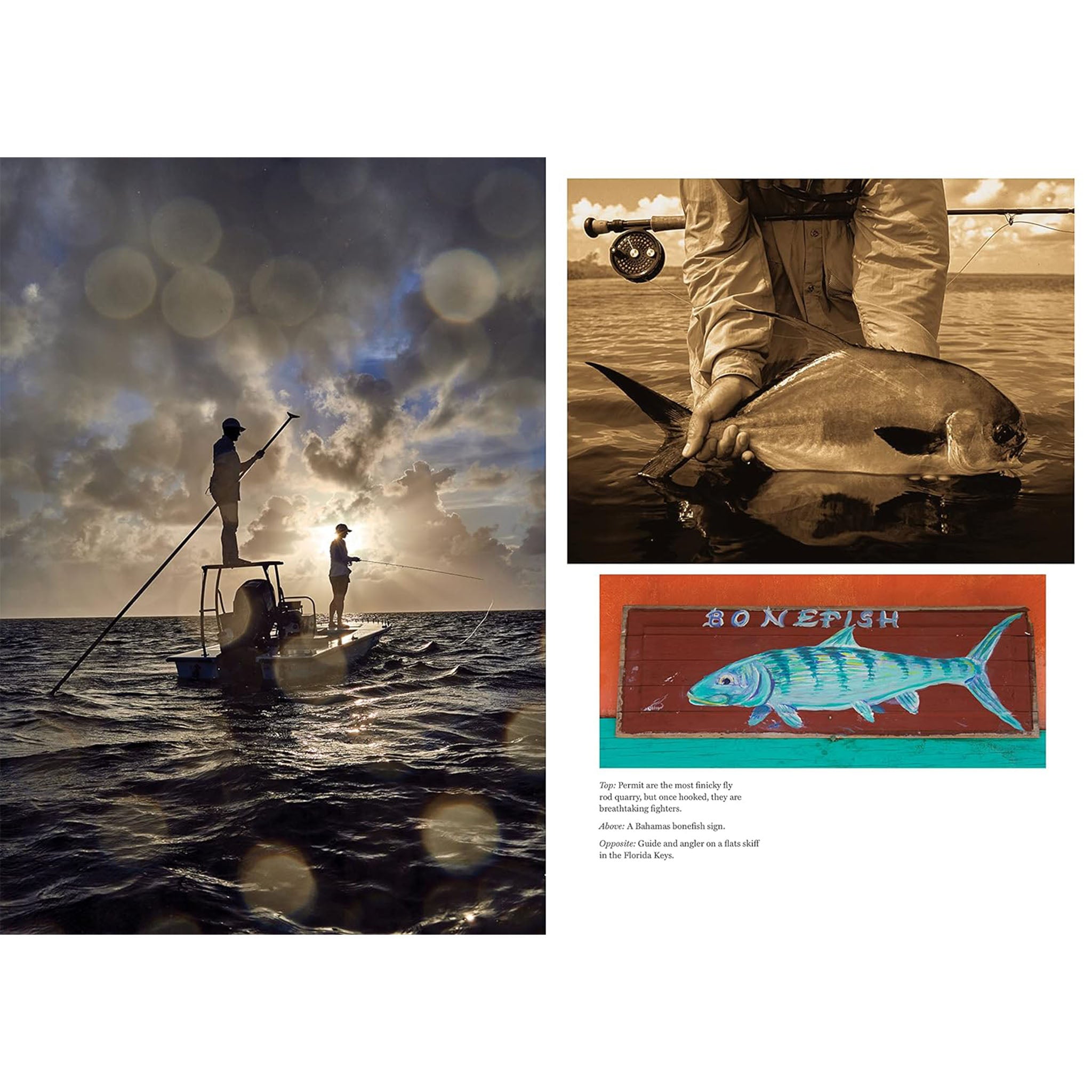 The Catch of a Lifetime - Addison West