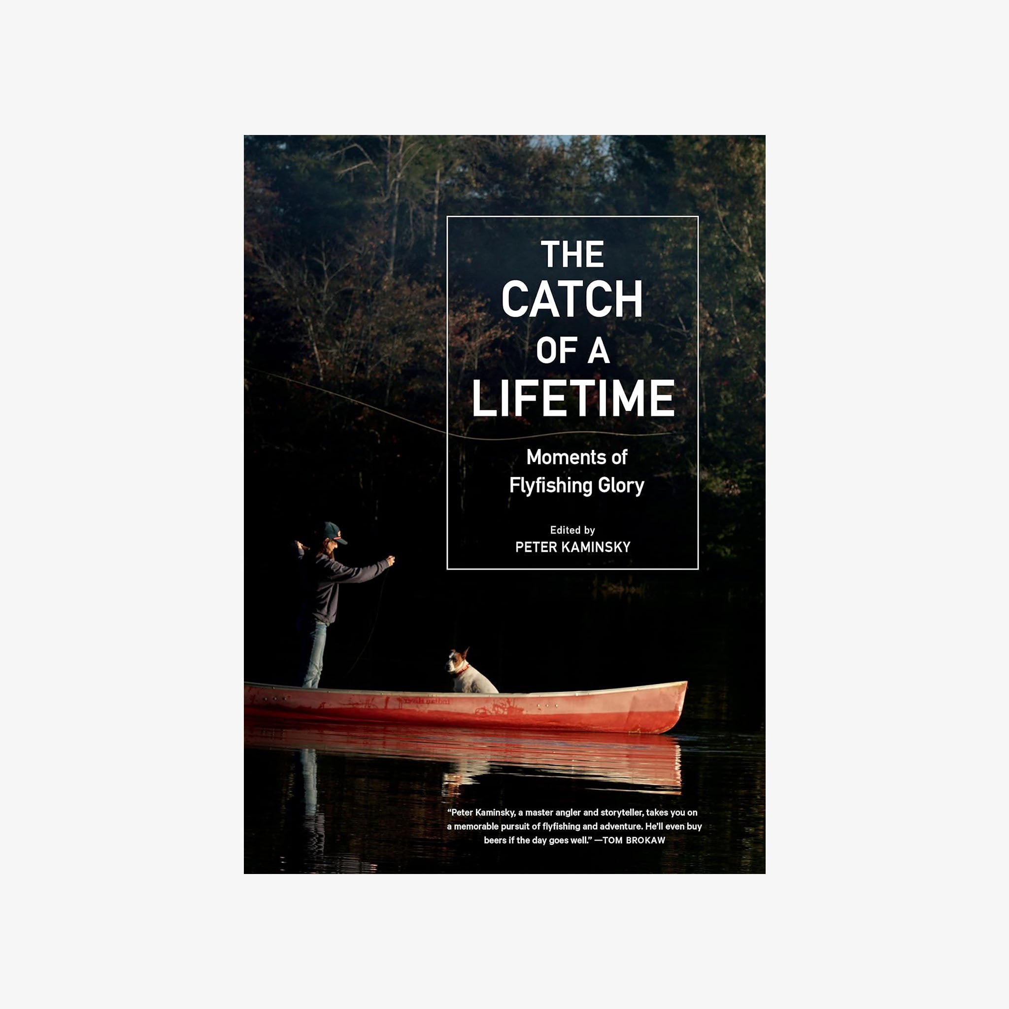The Catch of a Lifetime - Addison West