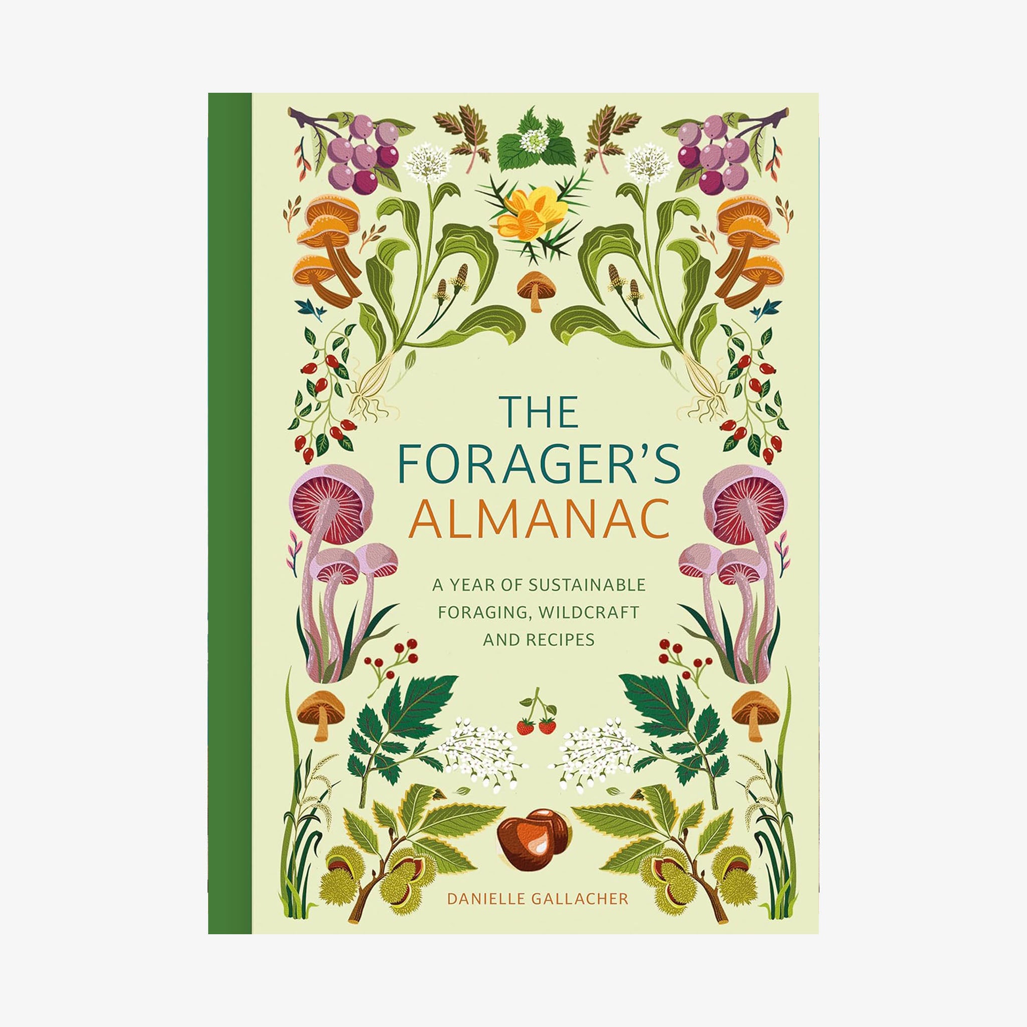 Colorful front cover of The Forager's Almanac with flowers and mushrooms on a white background