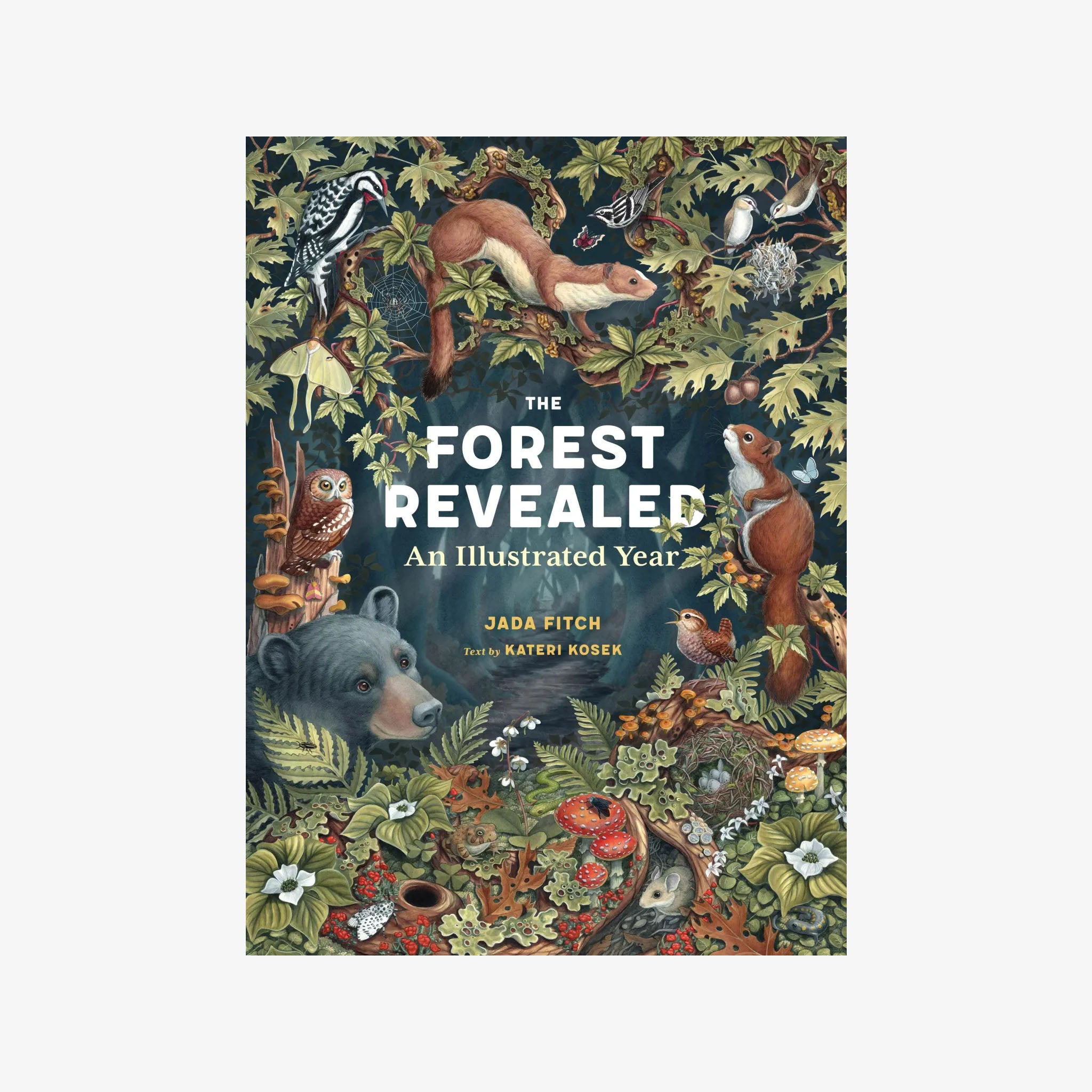 Book cover of 'The Forest Revealed' with illustrations of animals and nature on a white background