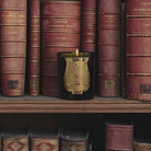 Trudon Abd El Kader "Moroccan Mint Tea" Candle on a bookshelf at Addison West