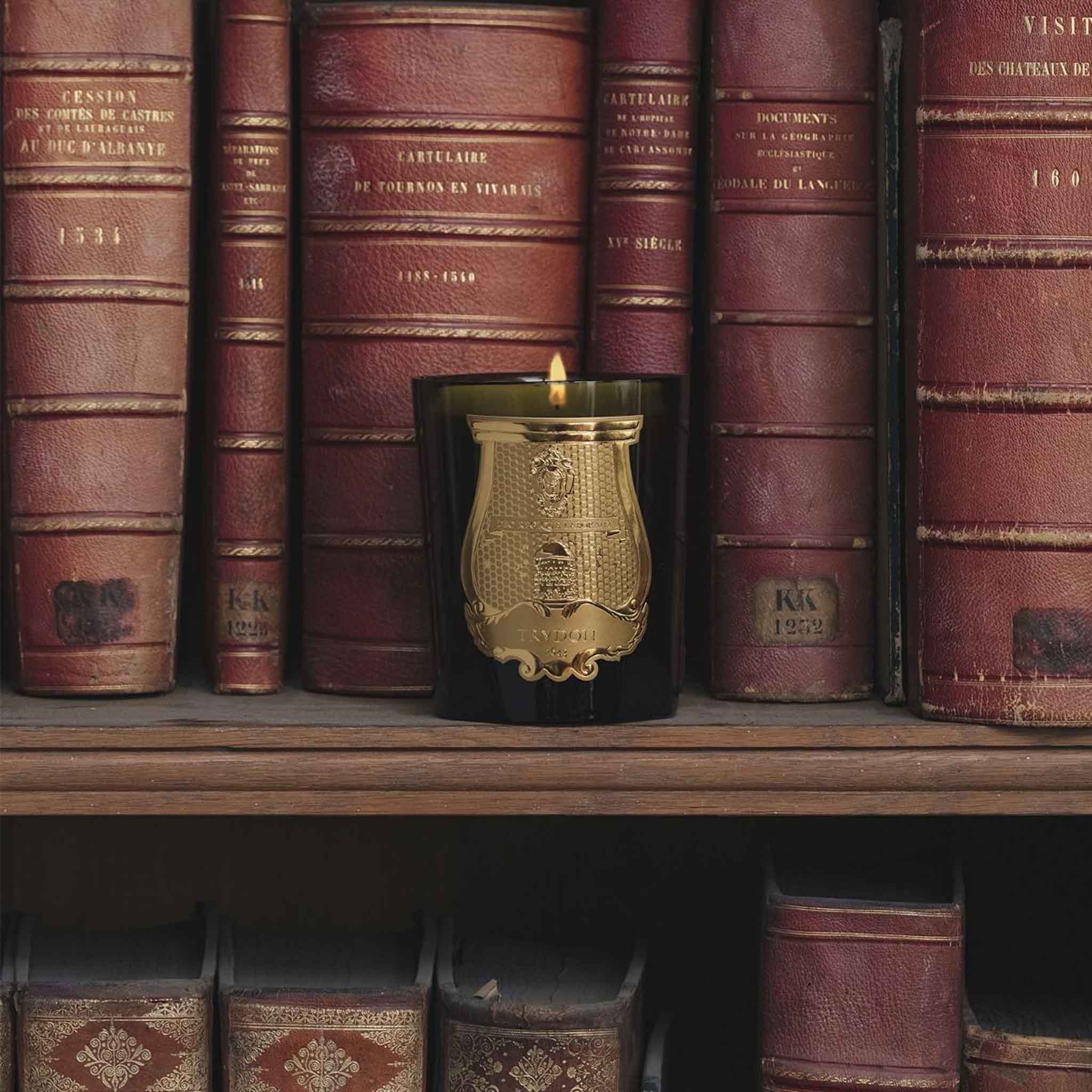 Trudon Abd El Kader "Moroccan Mint Tea" Candle on a bookshelf at Addison West
