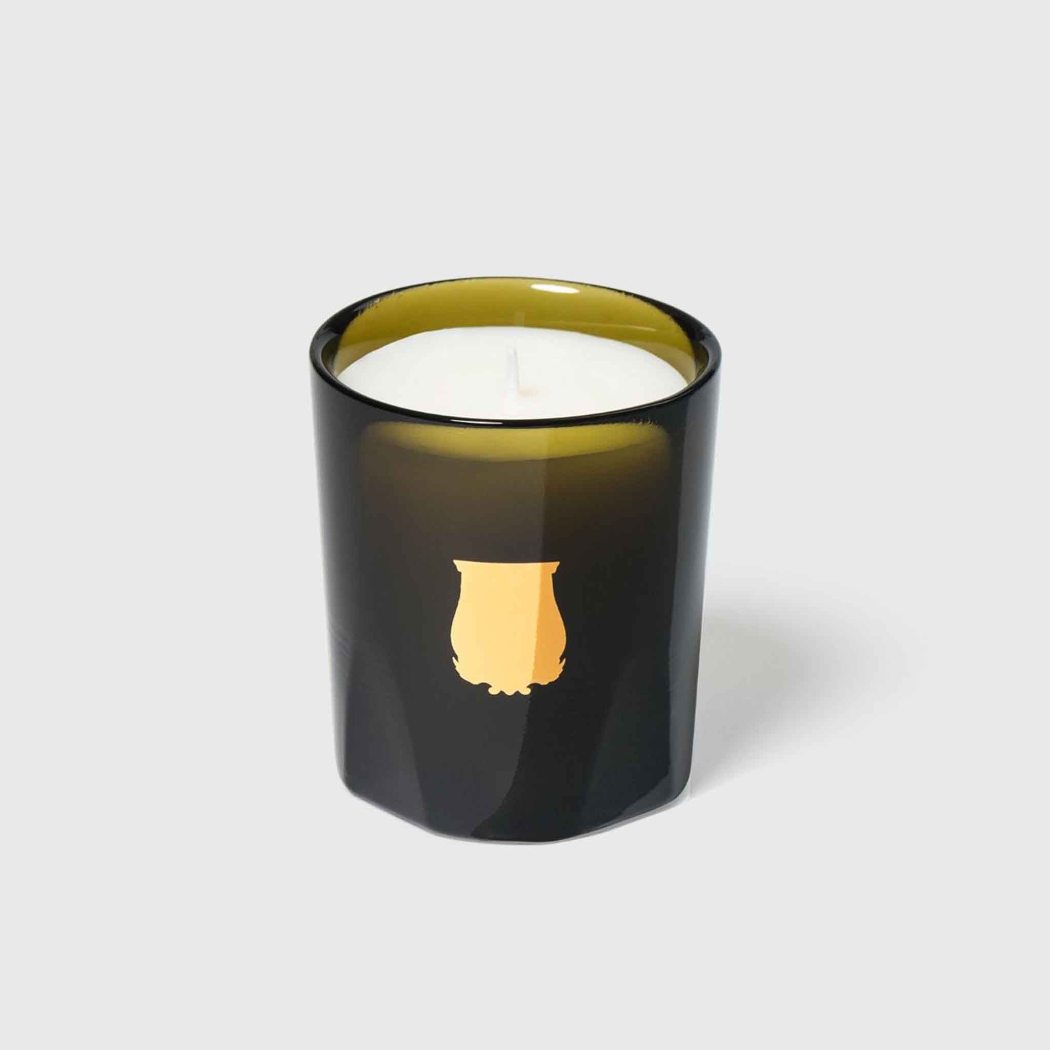 Trudon Ernesto "Leather & Tobacco" Petite Candle on a white background at Addison West