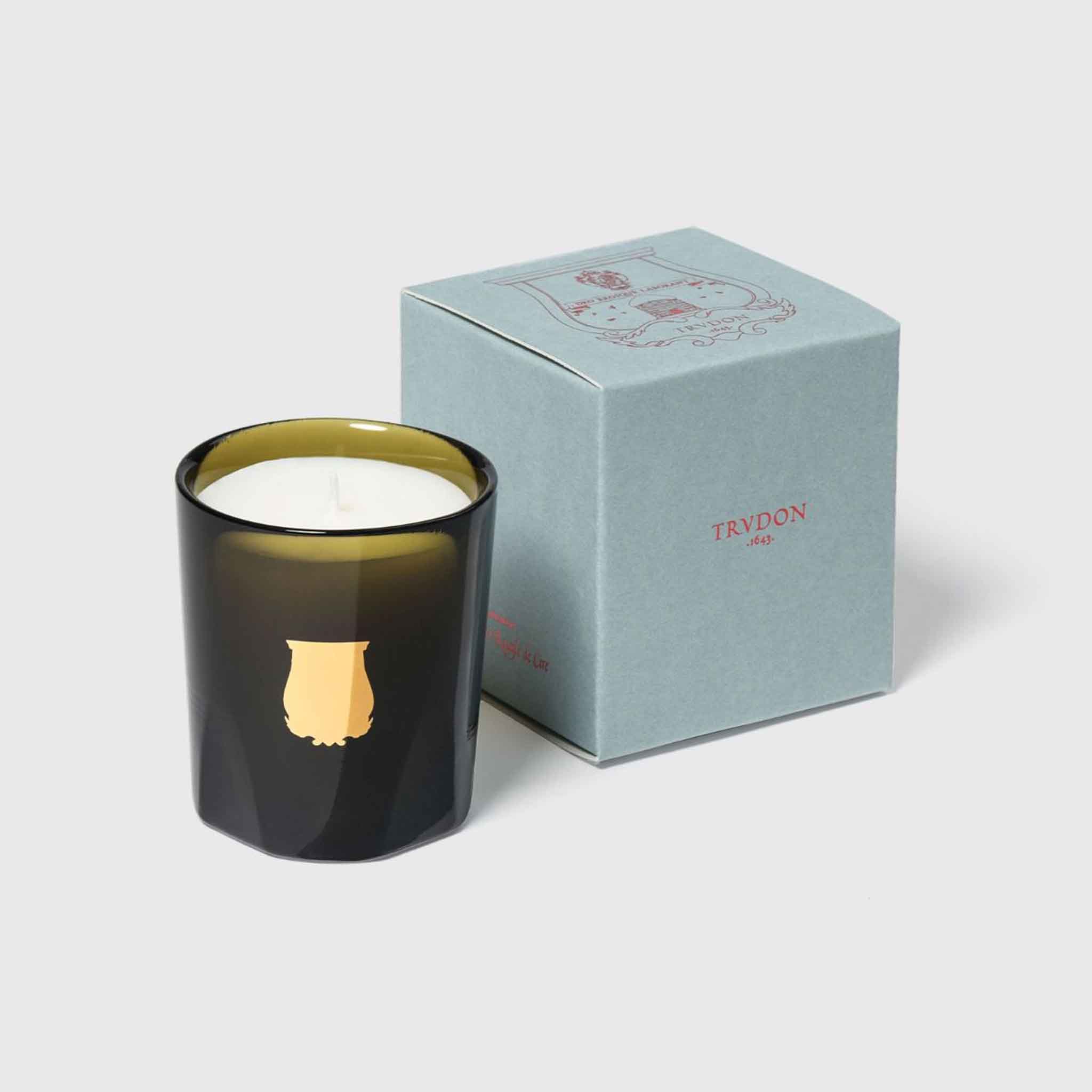 Trudon Ernesto "Leather & Tobacco" Petite Candle on a white background at Addison West