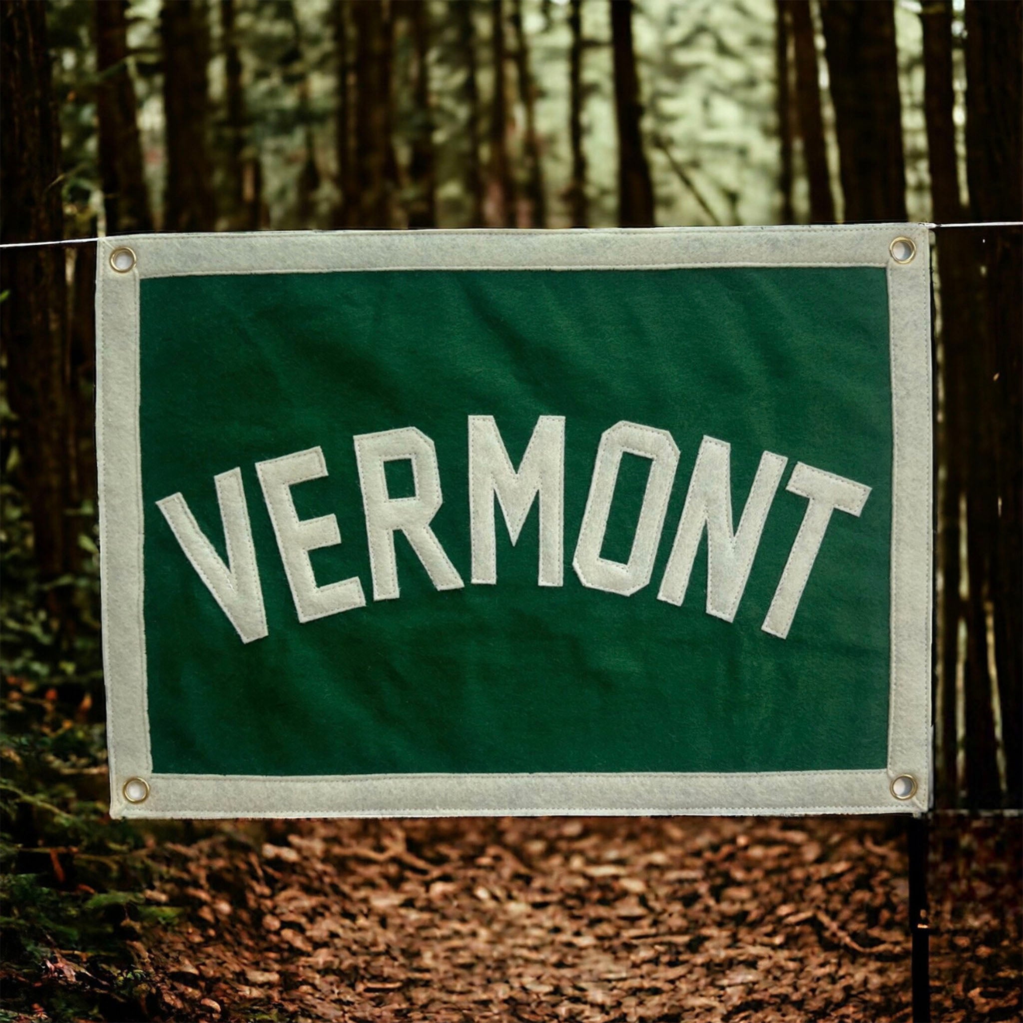 Green and white Vermont State Rectangular Pennant hanging in the woods