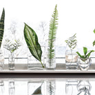 Weston Vase, Large on a windowsill  at Addison West