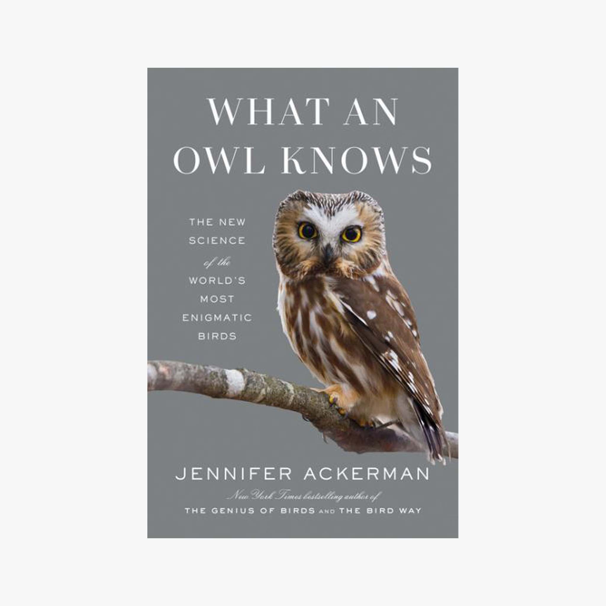 Book cover of 'What an Owl Knows' with an owl on a branch