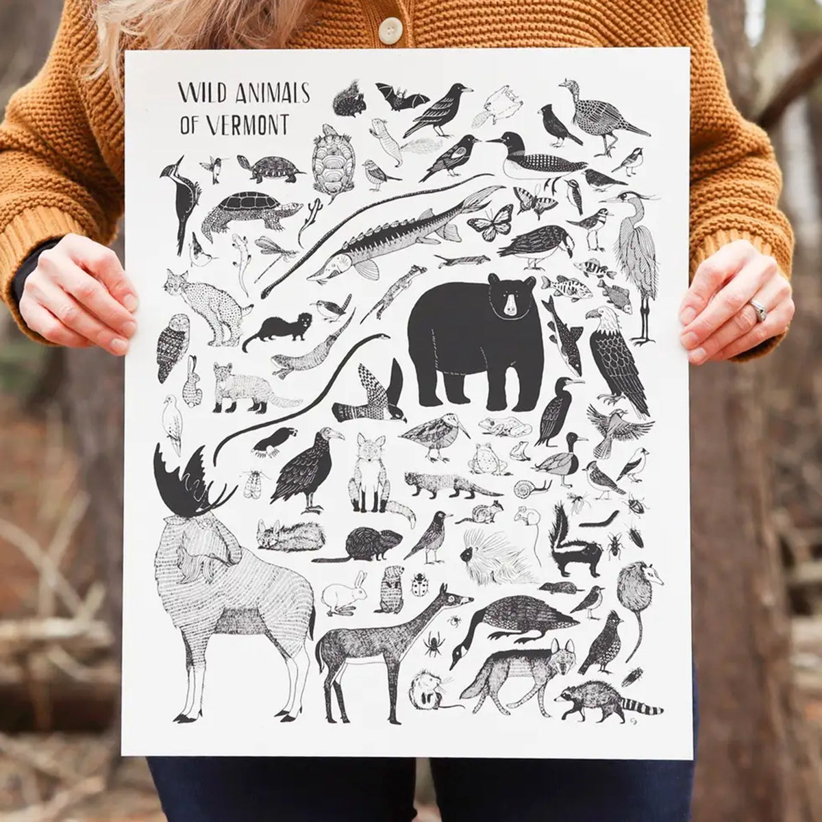 Wild Animals of Vermont - Addison West