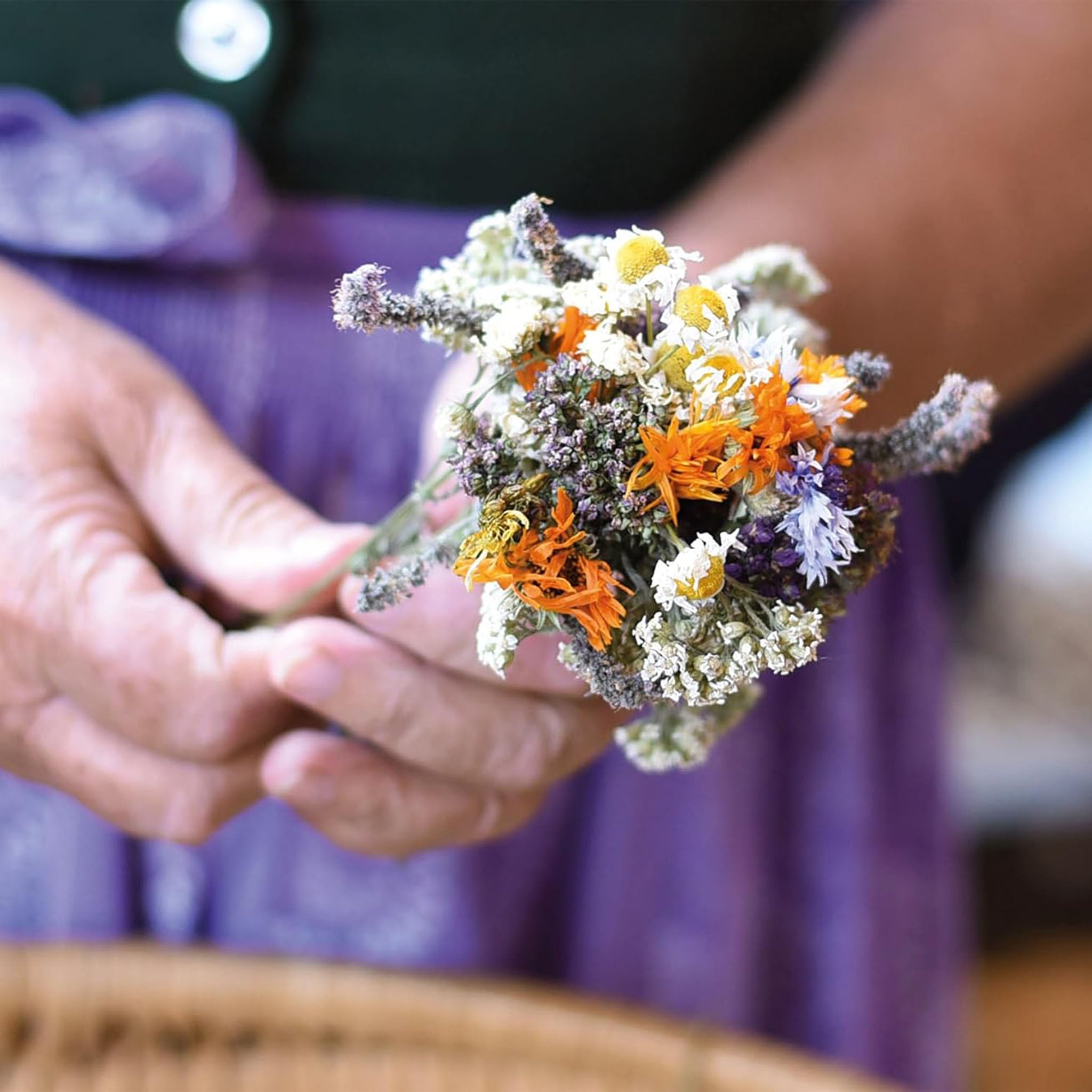 Wildflowers Floramour Book - Addison West