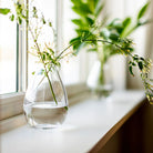 Woodstock Bud Vase on a window sill at Addison West