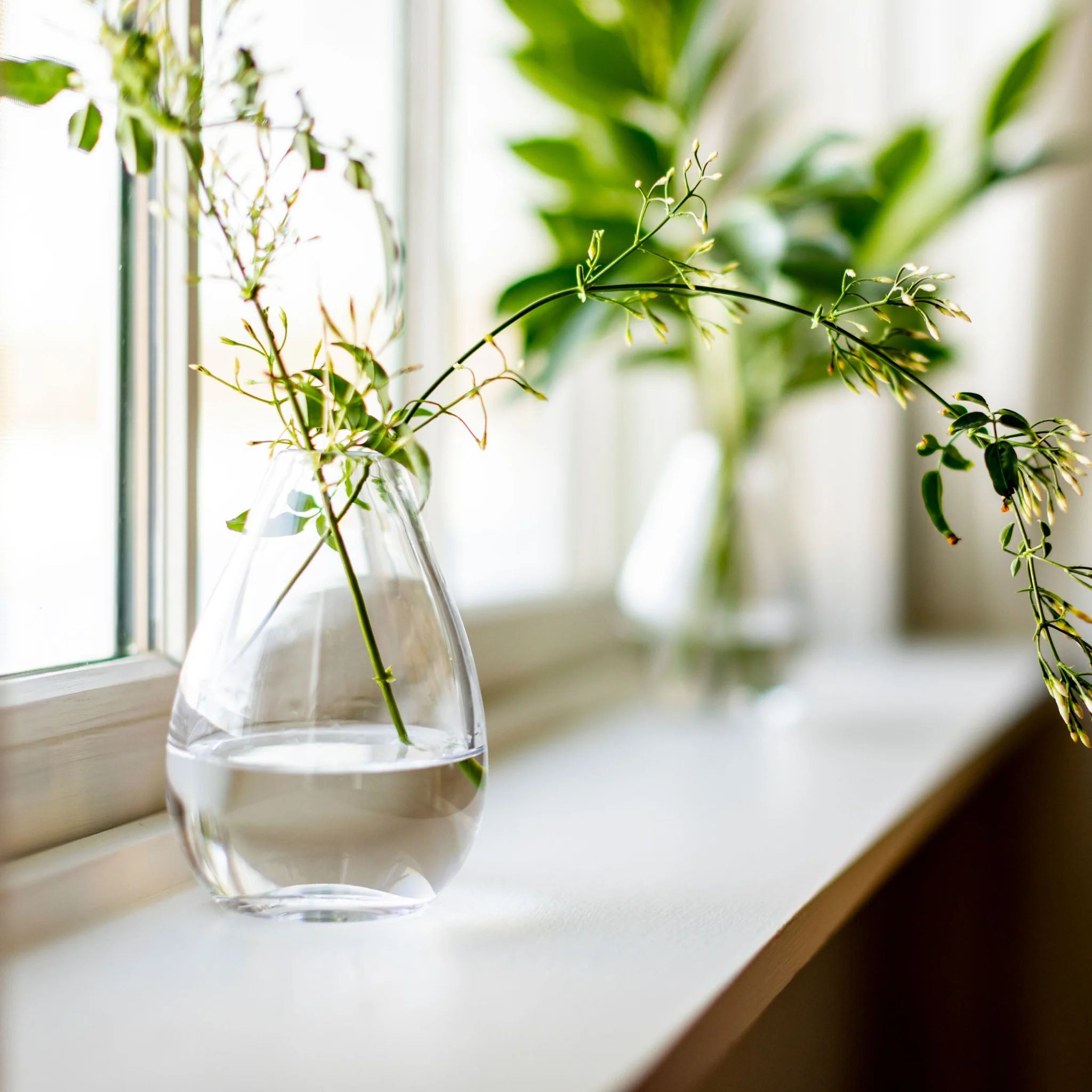 Woodstock Bud Vase on a window sill at Addison West