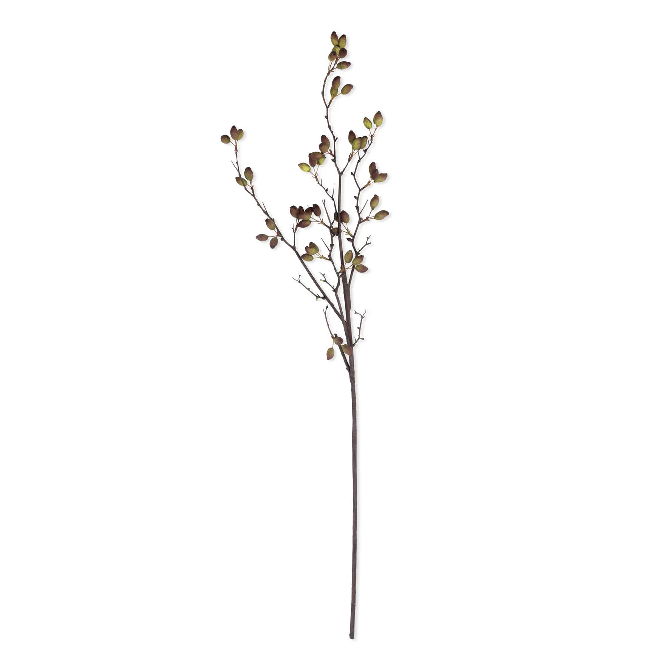 Abigail Ahern Artificial Barberry on a white background at Addison West
