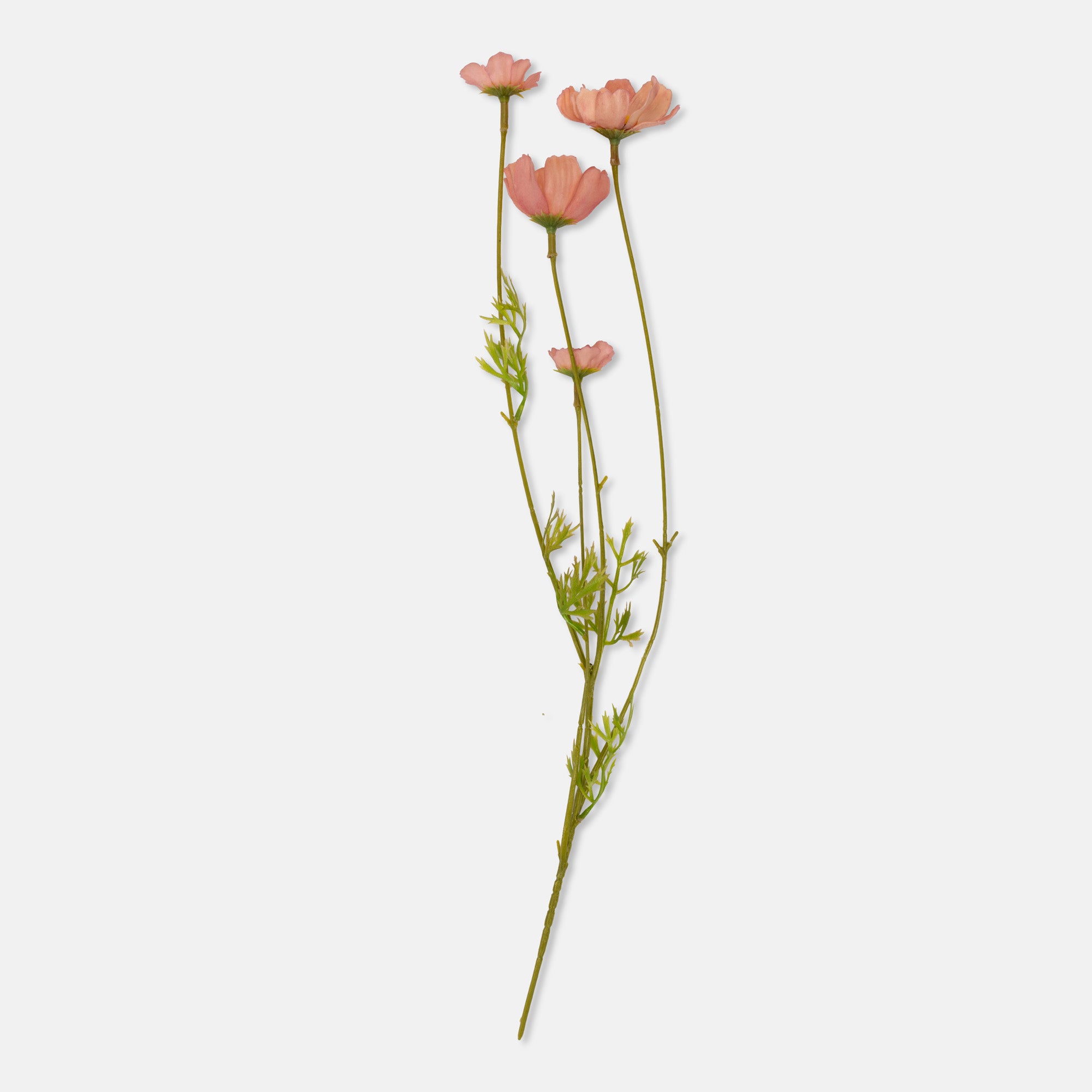 Abigail Ahern Artificial Cosmos Medow in Soft Pink on a white background at Addison West