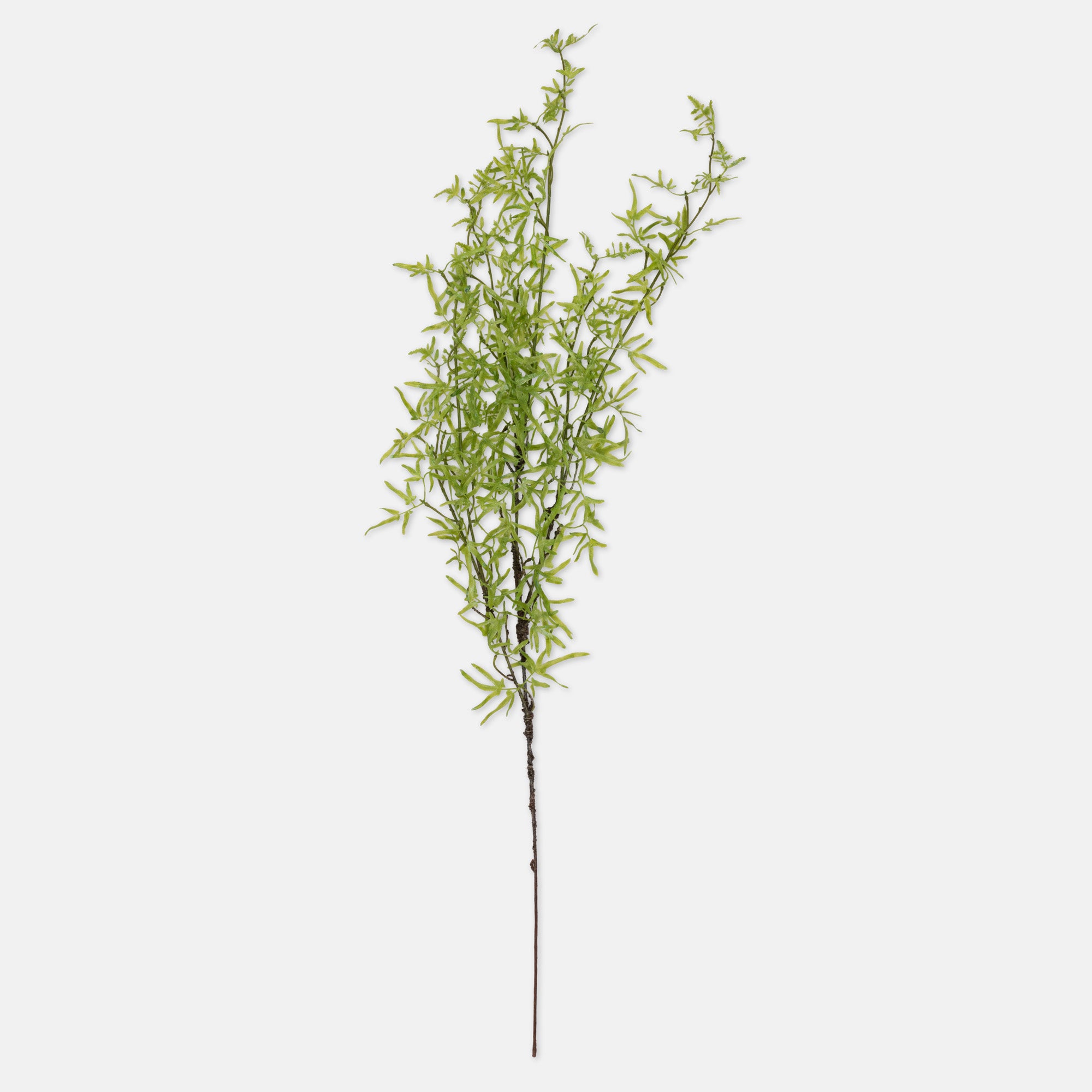 Abigail Ahern Faux Fern Branch in Soft Green on a white background at Addison West